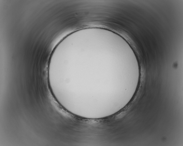 X0000116460814201001061037