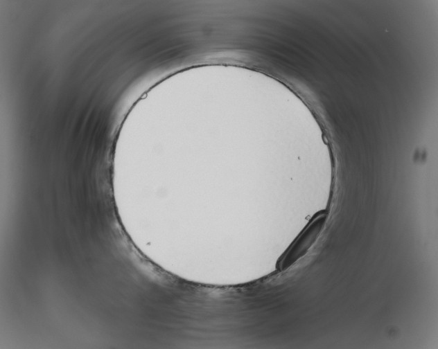 X0000116460816201001061037