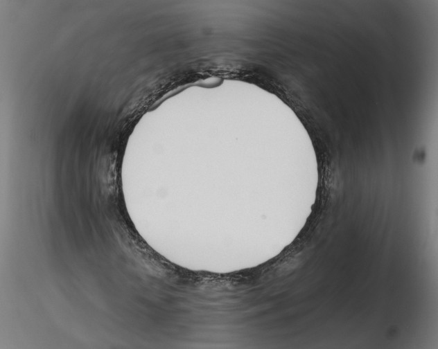 X0000116460818201001061036