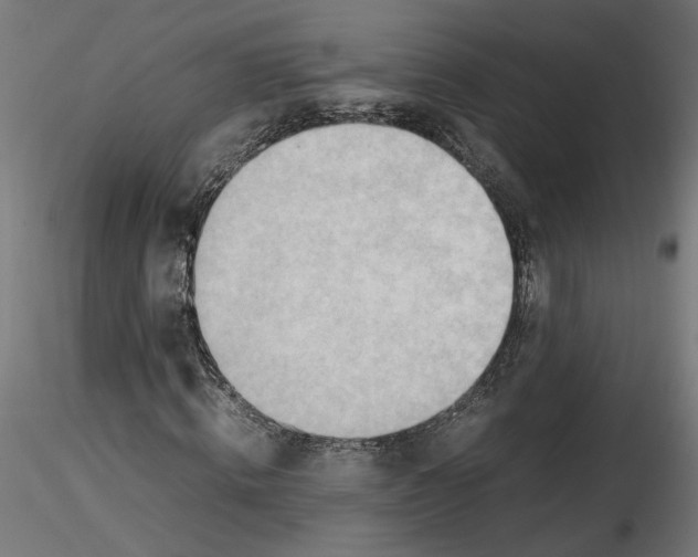 X0000116460820201001061036