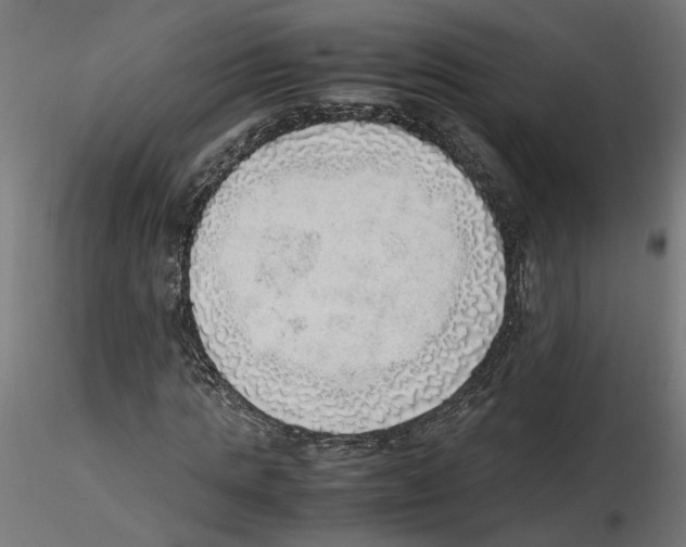 X0000116460821201001061036