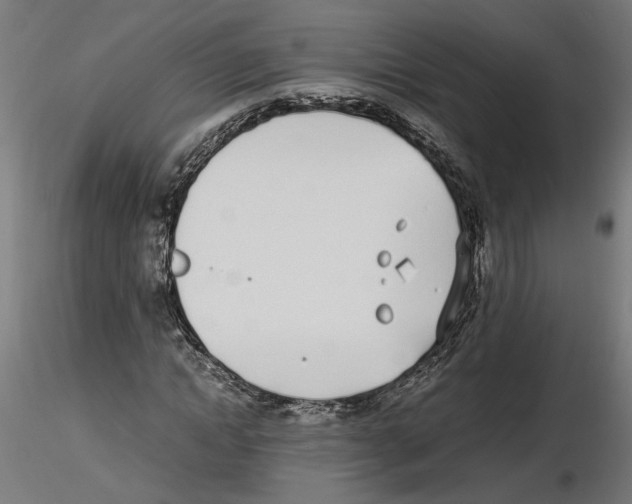 X0000116460822201001061036