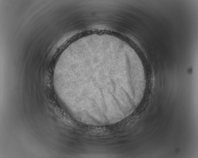 X0000116460823201001061036