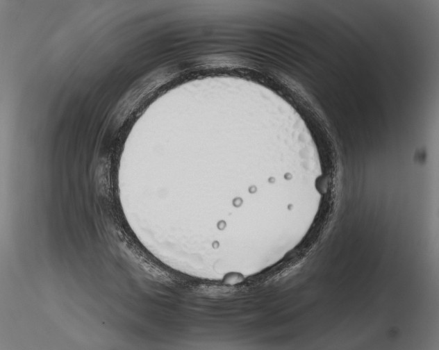 X0000116460825201001061036
