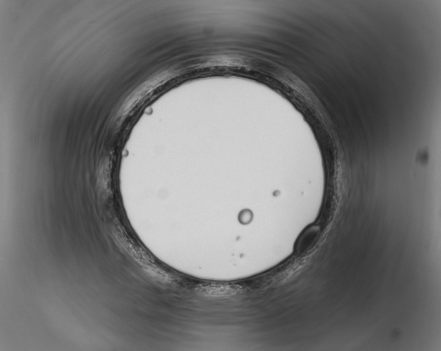 X0000116460826201001061036