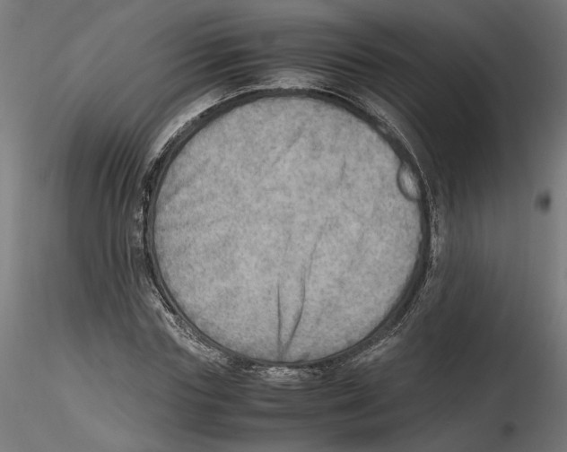 X0000116460827201001061036