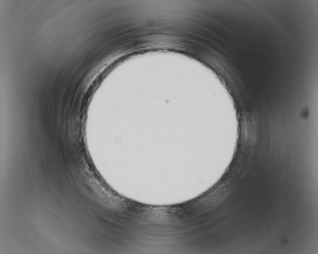 X0000116460828201001061036
