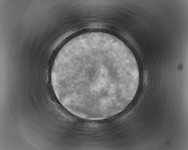 X0000116460829201001061036