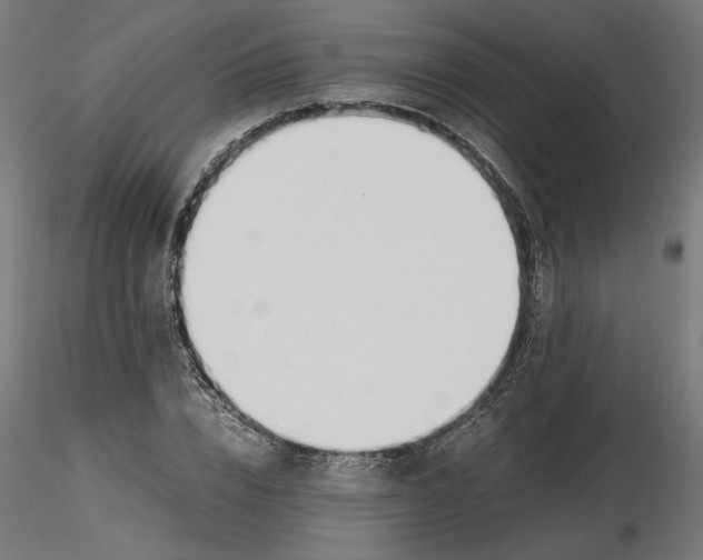 X0000116460832201001061036