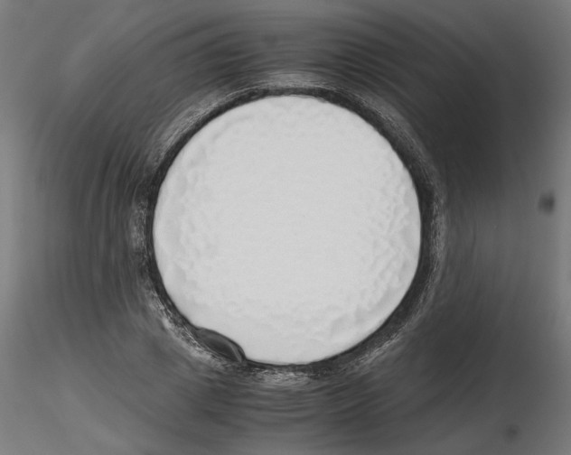 X0000116460833201001061036