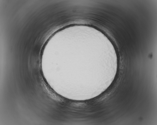 X0000116460837201001061036