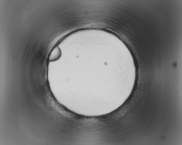 X0000116460838201001061036