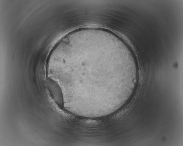 X0000116460839201001061036