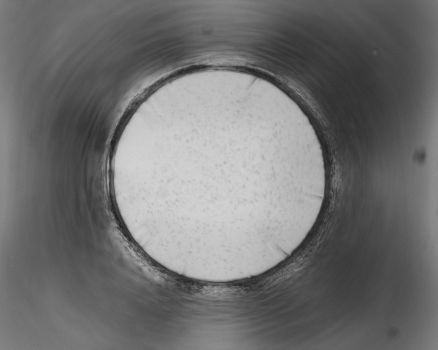 X0000116460840201001061036