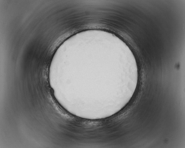 X0000116460841201001061036