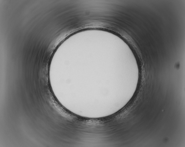 X0000116460842201001061036