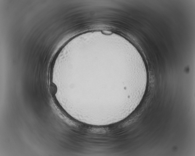 X0000116460843201001061036