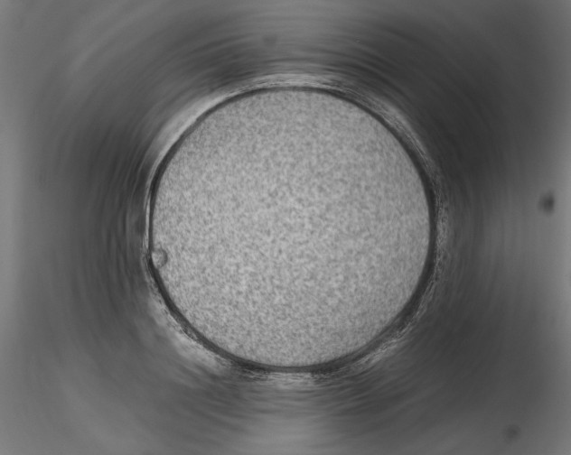 X0000116460844201001061036