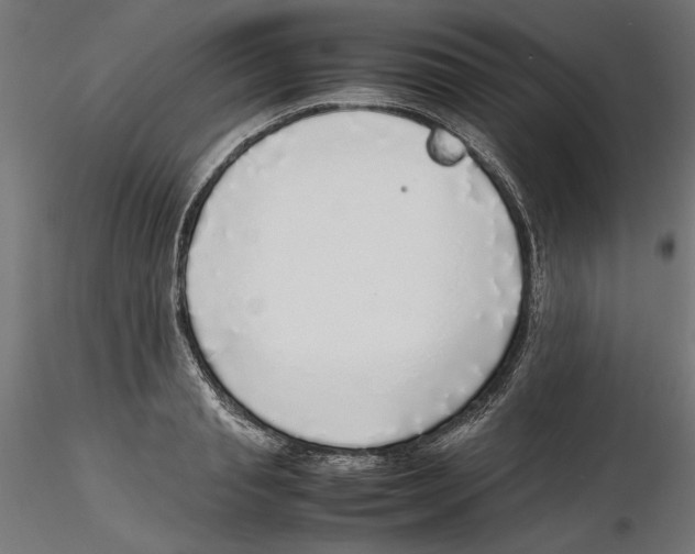 X0000116460845201001061036