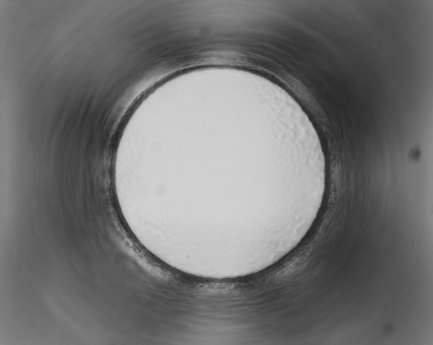 X0000116460846201001061036