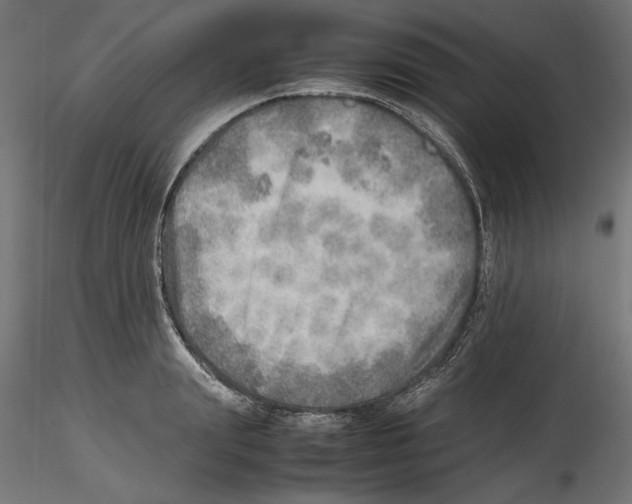 X0000116460847201001061036