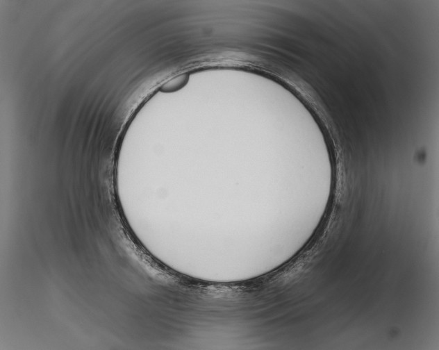 X0000116460850201001061037