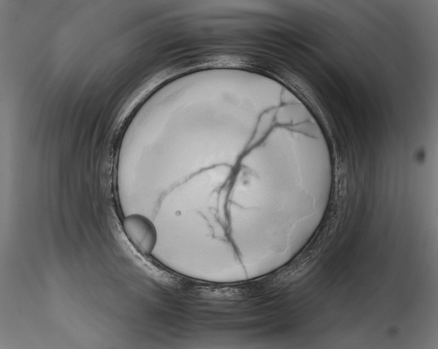 X0000116460851201001061037