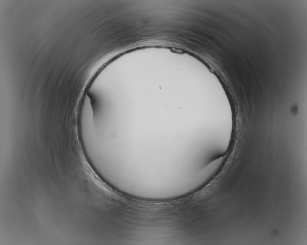 X0000116460854201001061037
