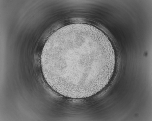 X0000116460857201001061037