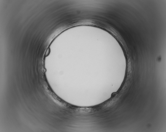 X0000116460858201001061037