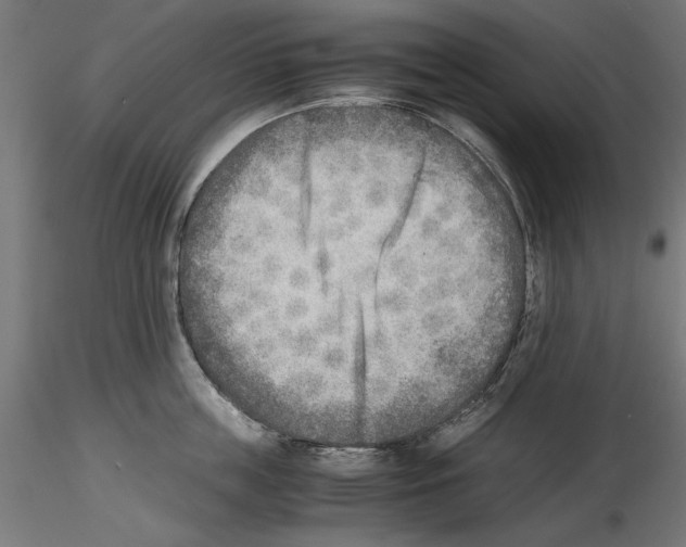X0000116460859201001061037