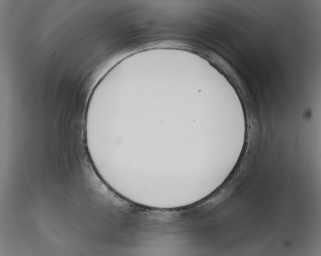 X0000116460860201001061037