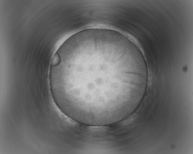 X0000116460863201001061037