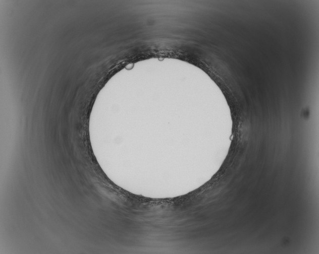 X0000116460865201001061036