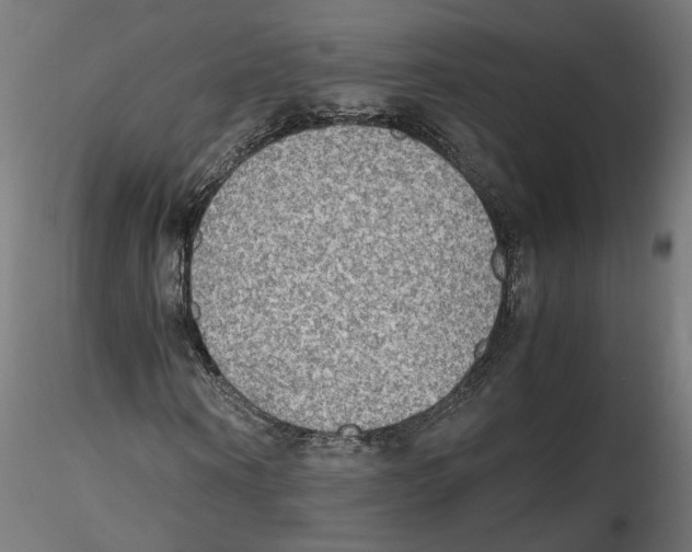 X0000116460866201001061036