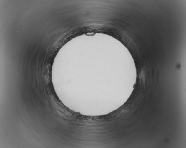 X0000116460868201001061036