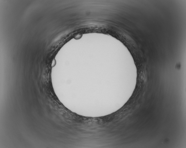 X0000116460869201001061036