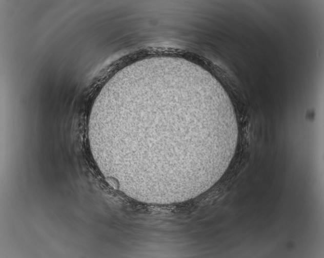 X0000116460870201001061036