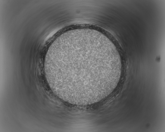 X0000116460871201001061036