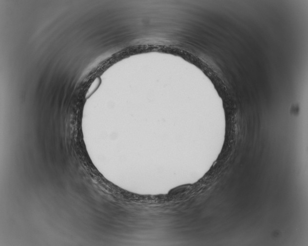 X0000116460872201001061036