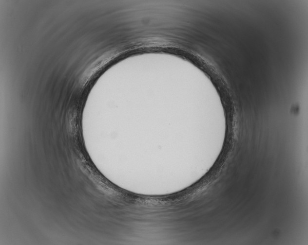 X0000116460873201001061036
