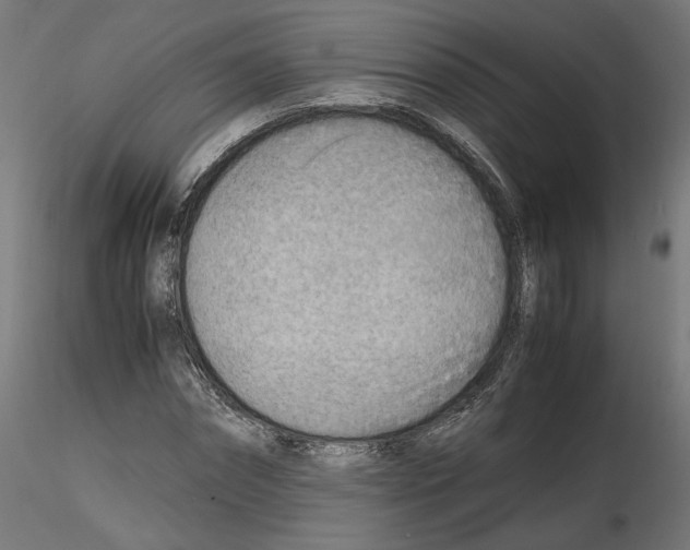 X0000116460874201001061036