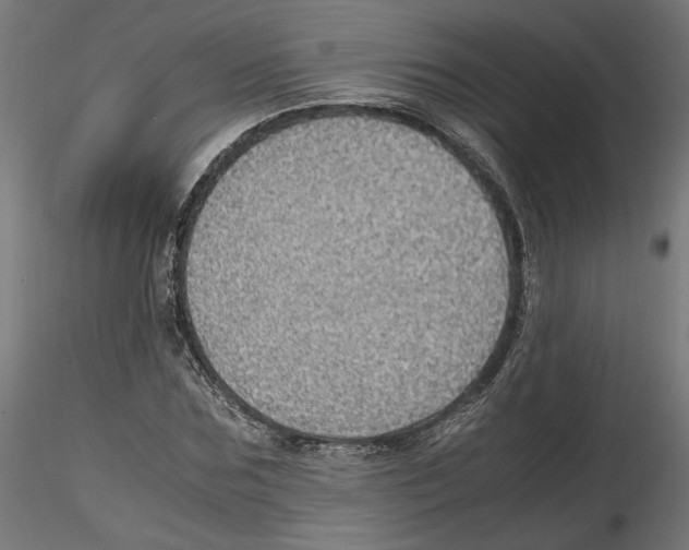 X0000116460875201001061036