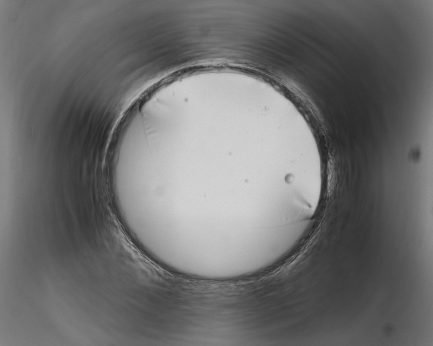 X0000116460876201001061036