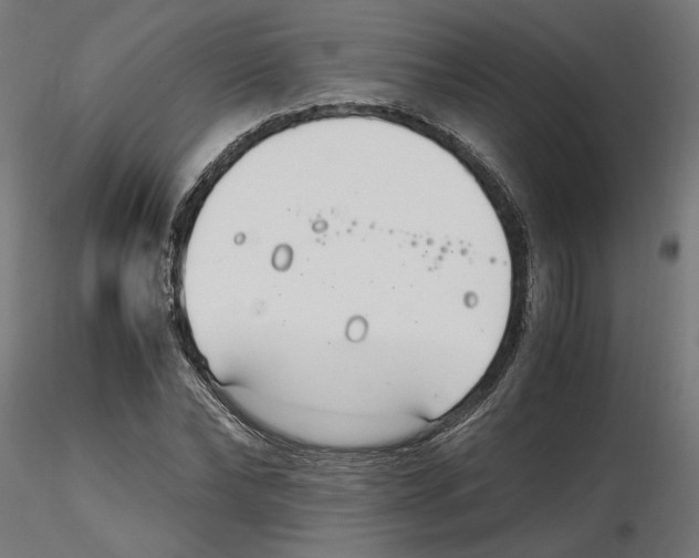 X0000116460878201001061036