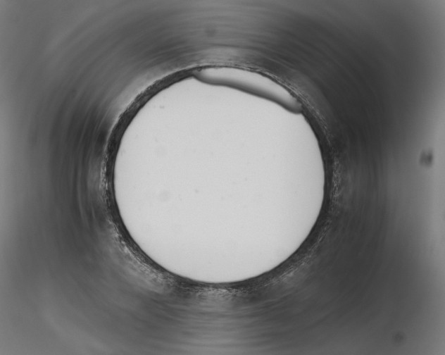 X0000116460880201001061036