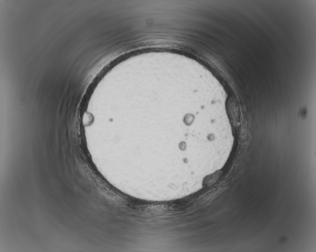X0000116460883201001061036