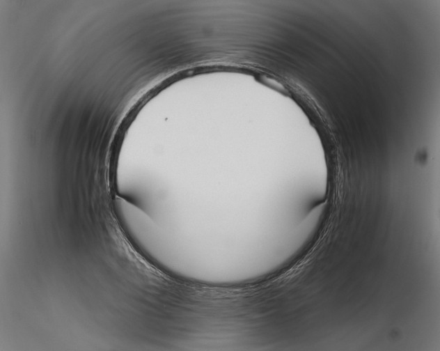 X0000116460884201001061036