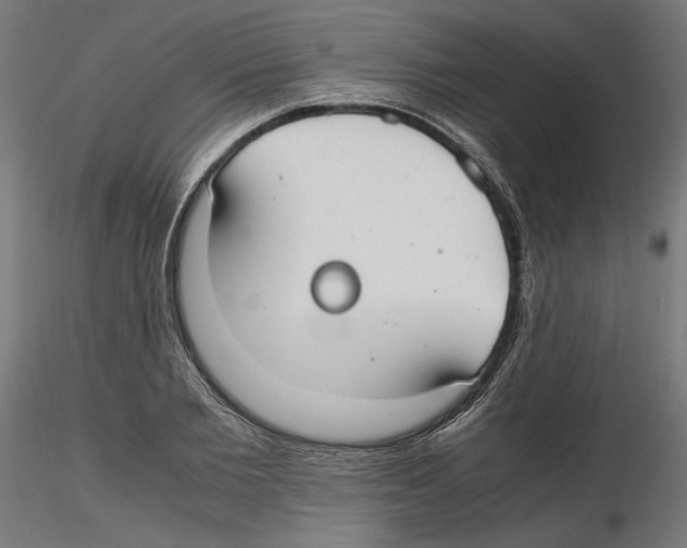 X0000116460885201001061036