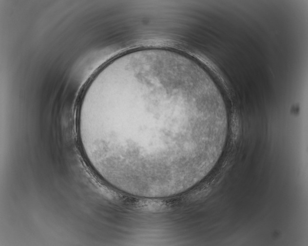 X0000116460886201001061036